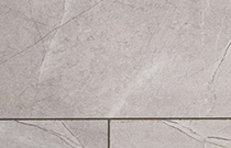 Eversense Large