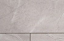 Eversense Large