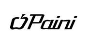 Paini