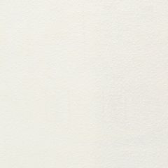 Обои виниловые Marburg Patent Decor 25х1,06 м (9729)