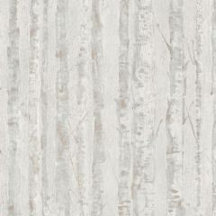 Обои виниловые Grandeco Chic Structures 10,05х0,53 м (CH 2402)
