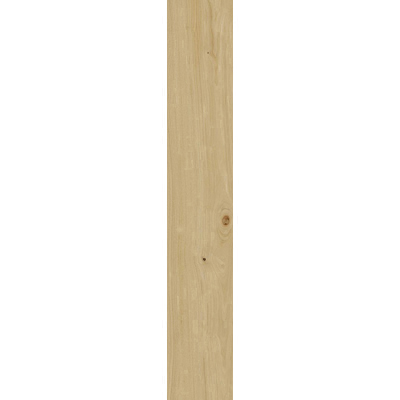 Керамогранит Italon Элемент Фаджио/Faggio 20x120 см