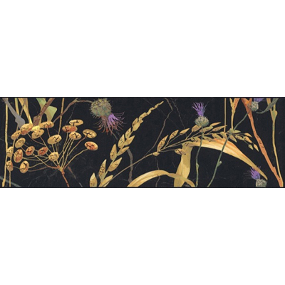 Керамическая плитка Kerama Marazzi (Керама Марацци) Бордюр Астория Птицы черный обрезной 8x25 см SST/A03/12000R