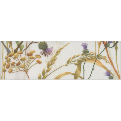 Керамическая плитка Kerama Marazzi (Керама Марацци) Бордюр Астория Птицы белый обрезной 8x25 см SST/A04/12105R