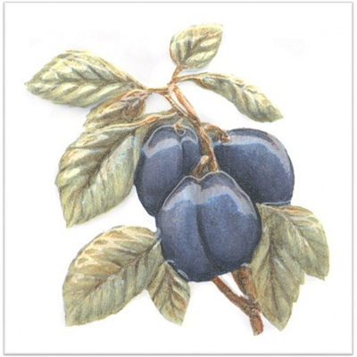 Керамическая плитка Kerama Marazzi (Керама Марацци) Оранжерея Слива 9,9х9,9 см TFA007