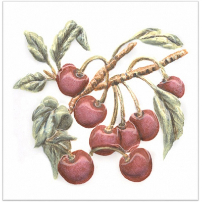 Керамическая плитка Kerama Marazzi (Керама Марацци) Оранжерея Вишня 9,9х9,9 см TFA008