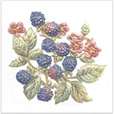 Керамическая плитка Kerama Marazzi (Керама Марацци) Оранжерея Ежевика 9,9х9,9 см TFA010