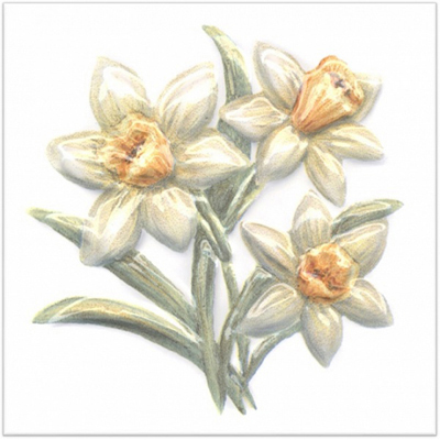 Керамическая плитка Kerama Marazzi (Керама Марацци) Оранжерея Нарциссы 9,9х9,9 см TFA011