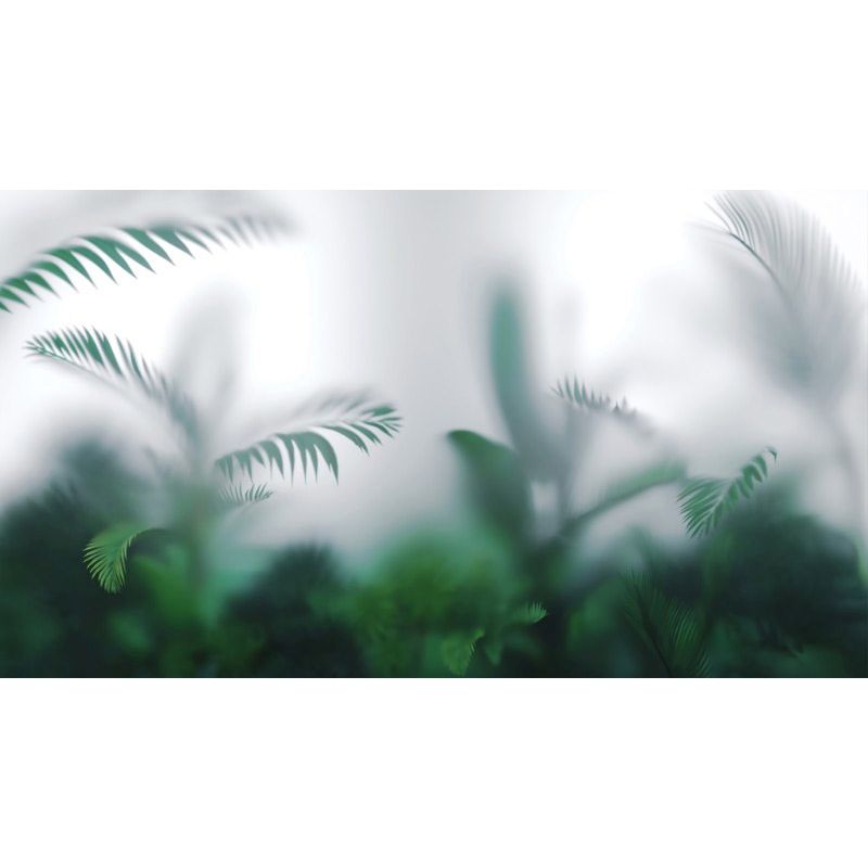 Обои виниловые на флизелине Design Studio 3D За стеклом Тропические листья в тумане Фреска (TG-009)