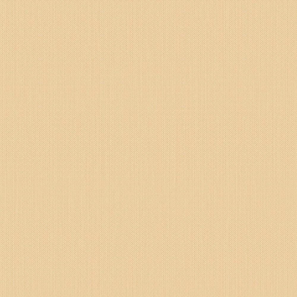 Обои флизелиновые A.Grifoni (А.Грифони) Palazzo Ragione 10,05х1,06 м (7028-6)