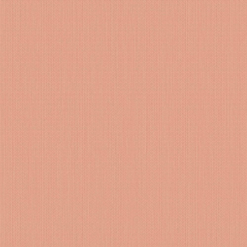 Обои флизелиновые A.Grifoni (А.Грифони) Palazzo Ragione 10,05х1,06 м (7028-8)