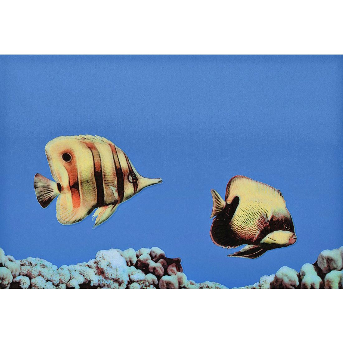 Декор Атем Mono Fish 3 27,5х40 см
