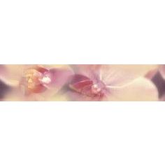 Бордюр Дельта Керамика Blossom B200D183 4,5х20 см
