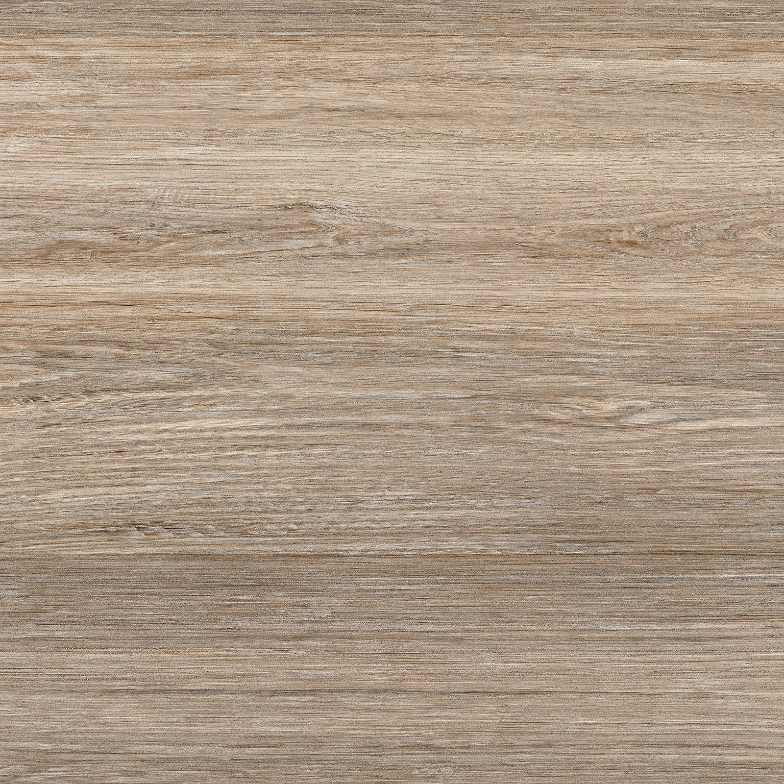 Керамогранит Alma ceramica (Альма Керамика) Forest 60х60 см толщ. 0,9 см Матовый GFU04FOR24R