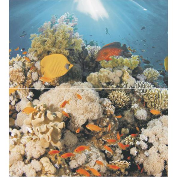 Панно Ceradim Dec Corals Panno 50х45 см компл.