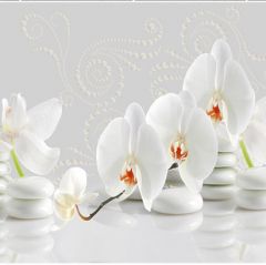 Панель ПВХ 3D эффект мерцания Акватон Novita 250 Белая орхидея узор 2700х250х9 мм