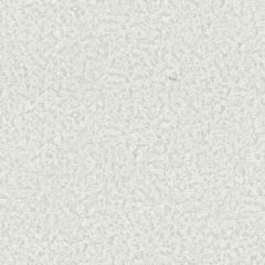 Обои виниловые Roberto Cavalli 8 10,5х1,06 (RC19024)