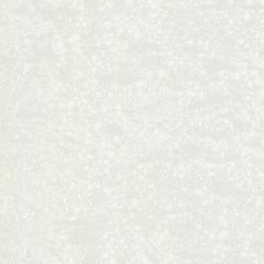 Обои виниловые Roberto Cavalli 8 10,5х1,06 (RC19039)