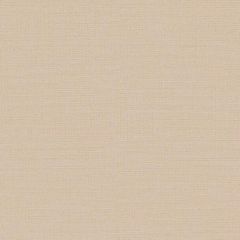 Обои виниловые DID Trend Art 10,05х1,06 м (R75027-5)