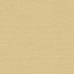 Обои виниловые DID Trend Art 10,05х1,06 м (R75027-6)