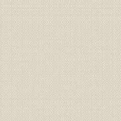 Обои виниловые DID Trend Art 10,05х1,06 м (RTI2109-1)