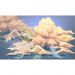 Обои виниловые на флизелине Design Studio 3D Детские Фантастические медузы Гладкий песок (NKID-003)