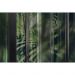 Обои виниловые на флизелине Design Studio 3D За стеклом Крупные тропические листья за стеклом Фреска (TG-001)