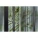 Обои виниловые на флизелине Design Studio 3D За стеклом Крупные яркие тропические листья за стеклом Фреска (TG-002)