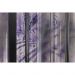 Обои виниловые на флизелине Design Studio 3D За стеклом Крупные фиолетовые тропические листья за стеклом Натуральный холст (TG-003)