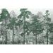 Обои виниловые на флизелине Design Studio 3D Изумруд Изумрудные деревья на хосте Бесшовная Фреска Classic (EMD-002)