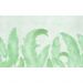 Обои виниловые на флизелине Design Studio 3D Нежность Крупные акварельные колосья в зелёных тонах Бесшовная Фреска Гранд (NJ-050)