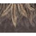 Обои виниловые на флизелине Design Studio 3D Тропикалия Коричневые ниспадающие тропические листья Гладкий песок (FLV-004)