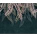 Обои виниловые на флизелине Design Studio 3D Тропикалия Тропические листья на изумруде Гладкий песок (FLV-008)