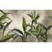 Обои виниловые на флизелине Design Studio 3D Avangard Букет зелёных тропических цветов Фреска (AVG-008)