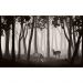Обои виниловые на флизелине Design Studio 3D Vintage Олени в тёмном лесу на бежевом Фреска (VG-017)