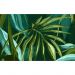 Обои виниловые на флизелине Design Studio 3D Avangard Композиция из тропических листьев салатово-бирюзового оттенка Натуральный холст (AVG-016)