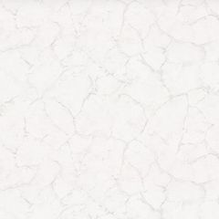 Обои виниловые на флизелиновой основе Palitra Life Карелия 10,05х1,06 м (PL72169-11)