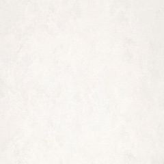 Обои виниловые на Флизелине Fipar Modelli Magici 10.05 х 1.06 м (R11171)