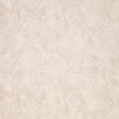 Обои виниловые на Флизелине Fipar Modelli Magici 10.05 х 1.06 м (R11173)