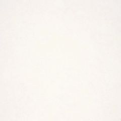 Обои виниловые на Флизелине Fipar Modelli Magici 10.05 х 1.06 м (R11580)