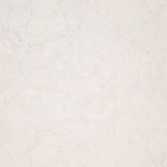 Обои виниловые на Флизелине Fipar Modelli Magici 10.05 х 1.06 м (R11871)