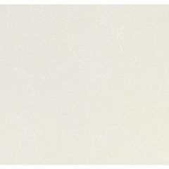 Обои виниловые Andrea Rossi Spectrum Plus 10х1,06 м (54351-9)