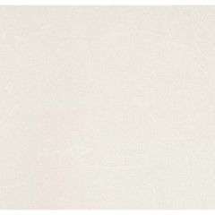 Обои виниловые Andrea Rossi Spectrum Plus 10х1,06 м (54351-8)