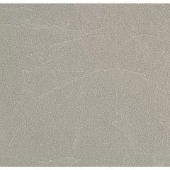 Обои виниловые Andrea Rossi Spectrum Plus 10х1,06 м (54351-19)