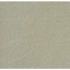Обои виниловые Andrea Rossi Spectrum Plus 10х1,06 м (54351-13)