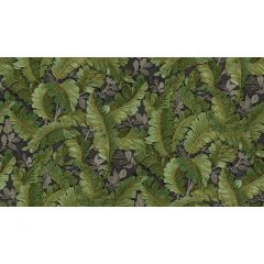 Обои виниловые Alessandro Allori Breeze 10,05х1,06 м (RDT2201-6)
