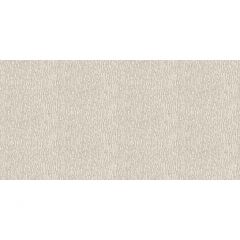 Обои виниловые Alessandro Allori Breeze 10,05х1,06 м (RDT2205-2)