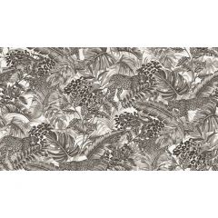 Обои виниловые Alessandro Allori Breeze 10,05х1,06 м (RDT2206-2)