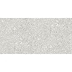 Обои виниловые Alessandro Allori Breeze 10,05х1,06 м (RDT2209-1)