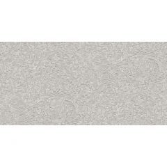 Обои виниловые Alessandro Allori Breeze 10,05х1,06 м (RDT2209-2)